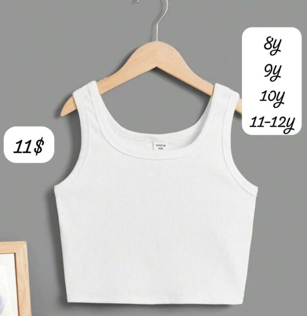 crop-top1